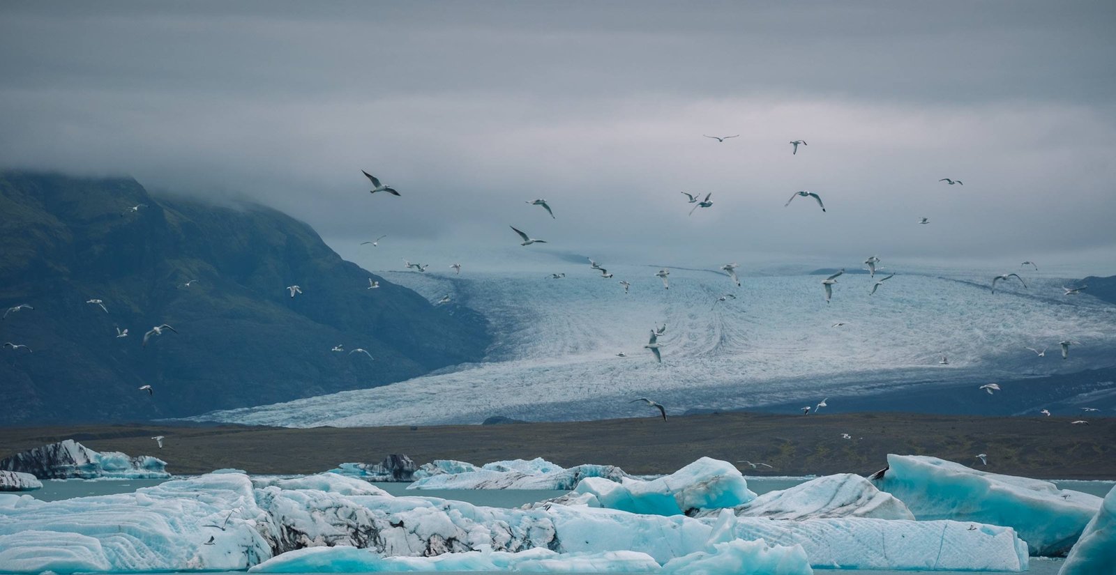 Iceberg nella laguna glaciale di Jökulsárlón in Islanda