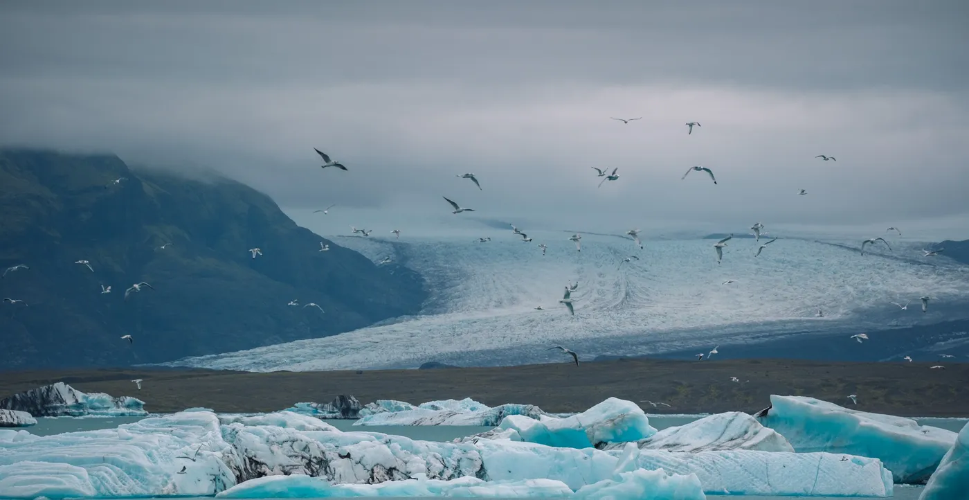 Iceberg nella laguna glaciale di Jökulsárlón