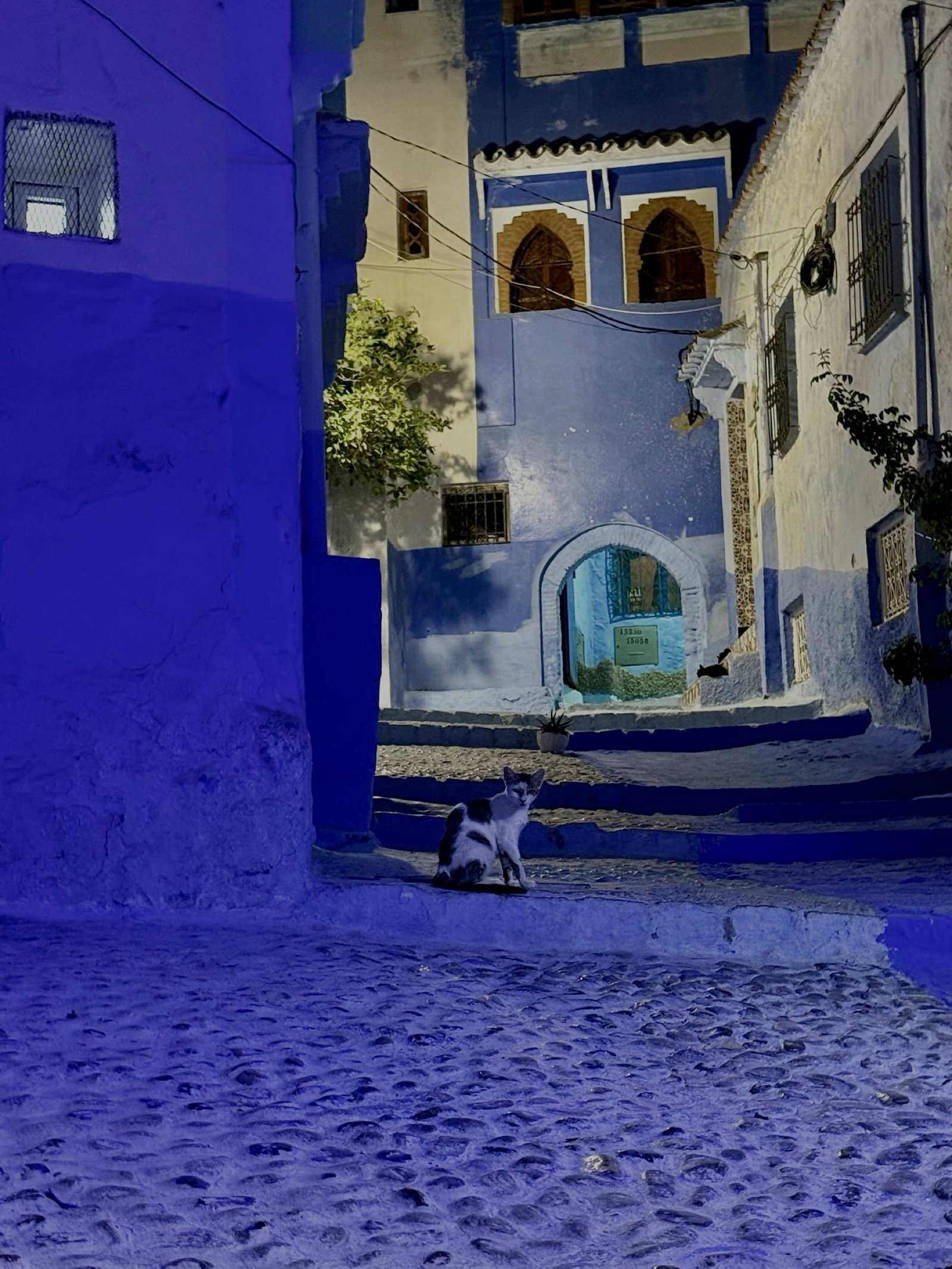 Un vicolo blu con scalinata a Chefchaouen, Marocco